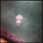 The Italian jellyfish