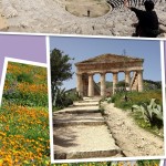 Our 8 day trip in Sicily. Eigth day: Segesta and back home…